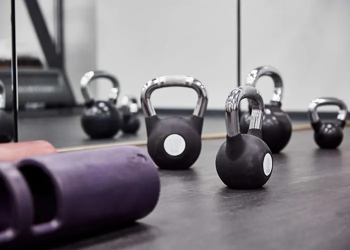 Lindner Frankfurt Main Plaza, Part Of Jdv By Hyatt Ξενοδοχείο 4*